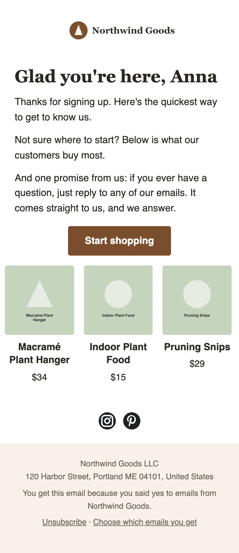 A ready-made welcome email filled in with a store's logo, colors and best-selling products
